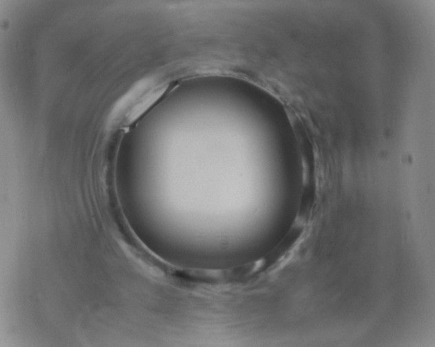 X0000070430197200606231926