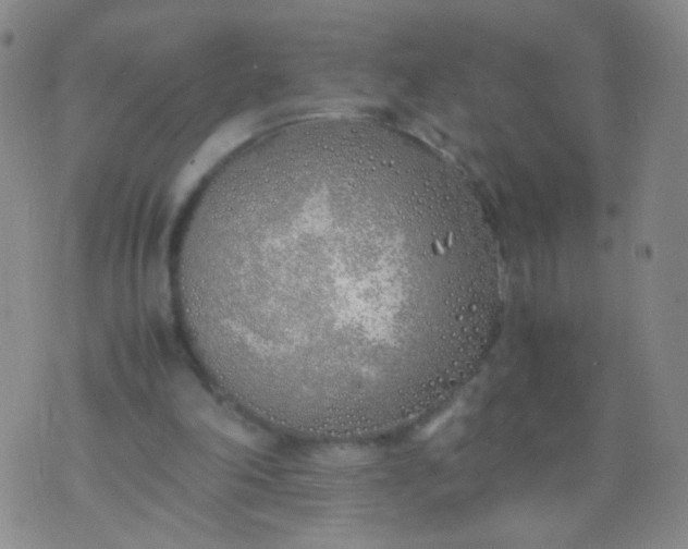 X0000070430198200606231926