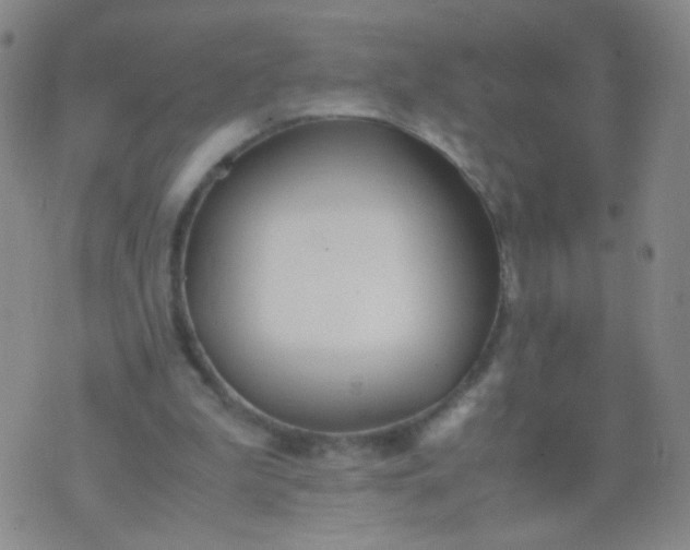 X0000070430199200606231926