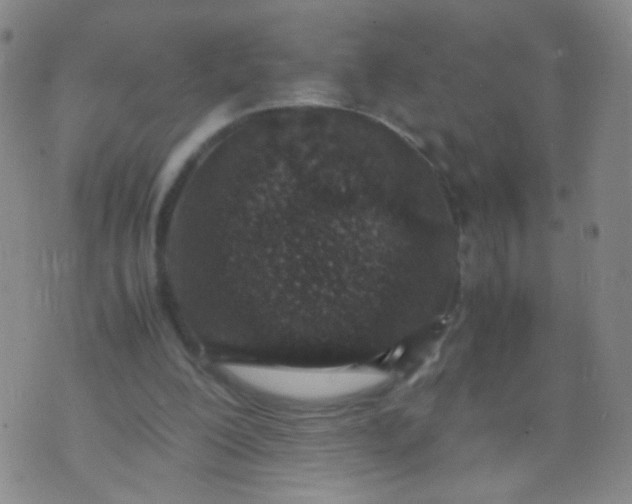 X0000070430200200606231926