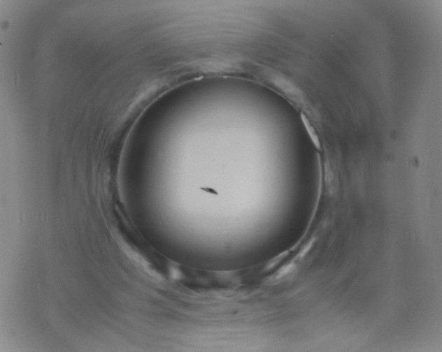 X0000070430201200606231926