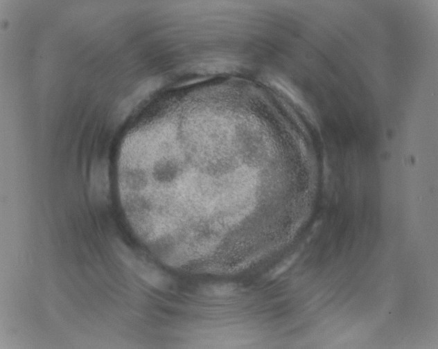 X0000070430202200606231926