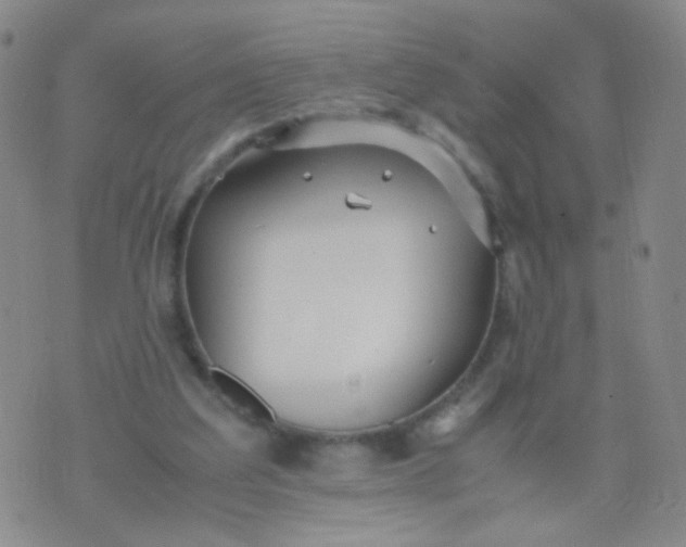 X0000070430203200606231926