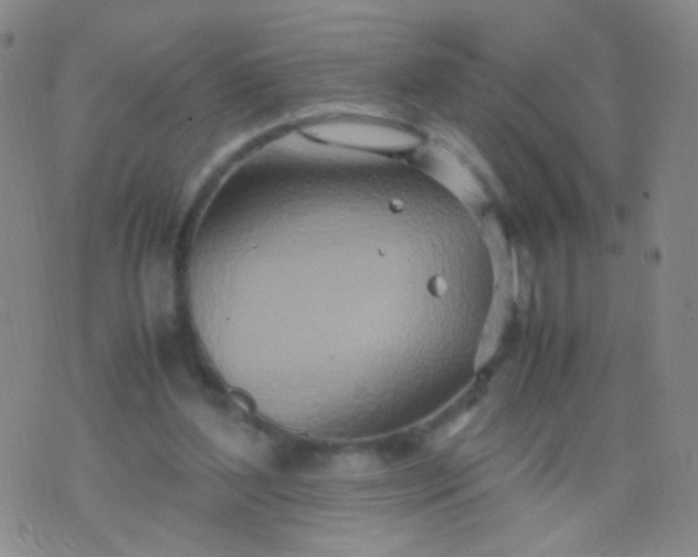 X0000070430204200606231926