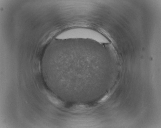 X0000070430205200606231926