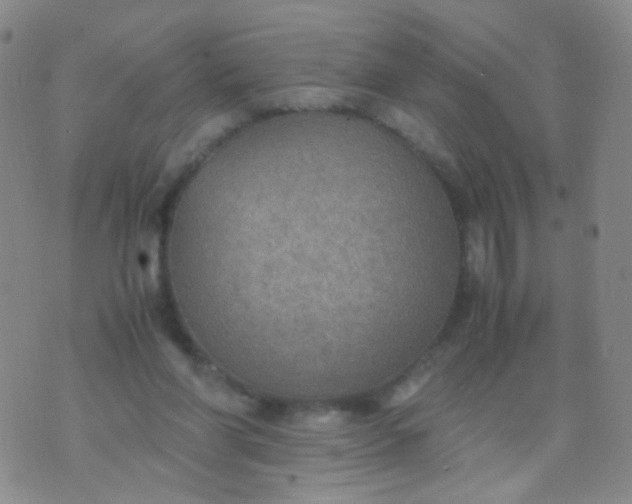 X0000070430206200606231926