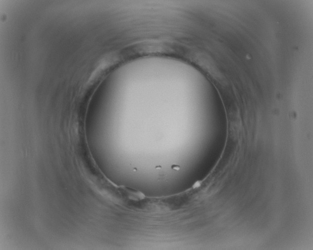 X0000070430207200606231926