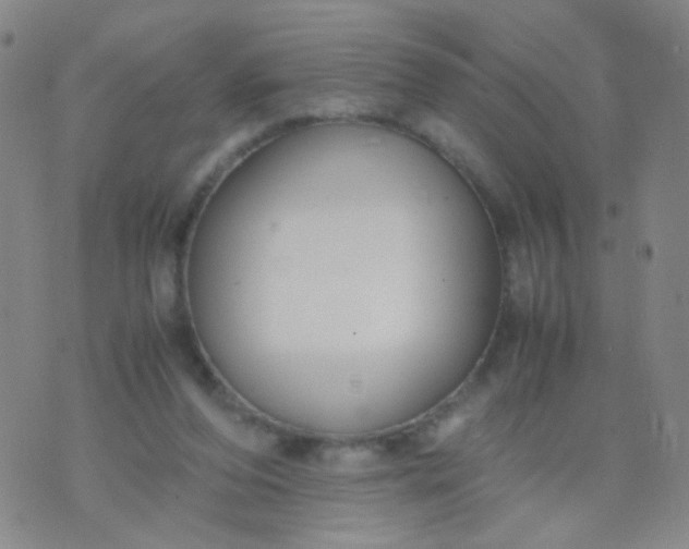 X0000070430208200606231926