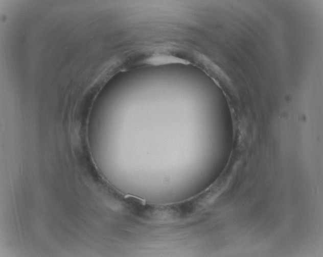 X0000070430209200606231926