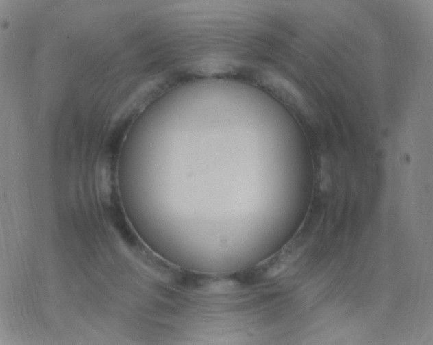 X0000070430210200606231926