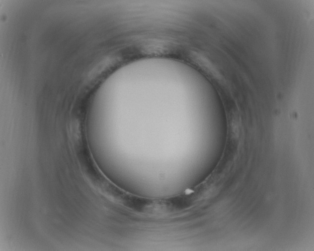 X0000070430211200606231926