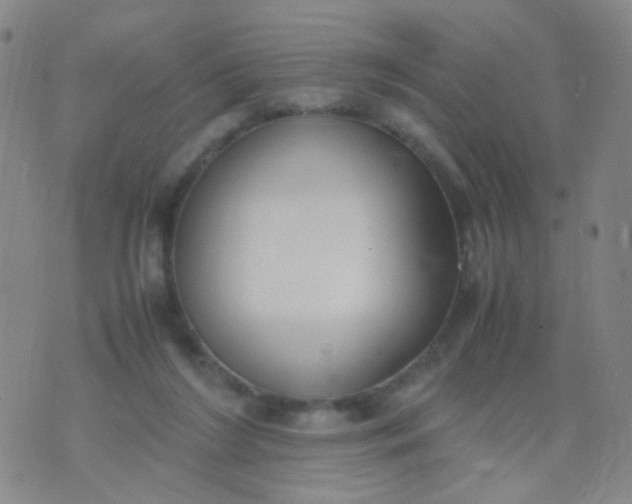 X0000070430212200606231926