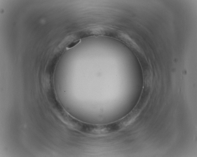 X0000070430213200606231926