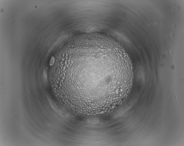 X0000070430214200606231926