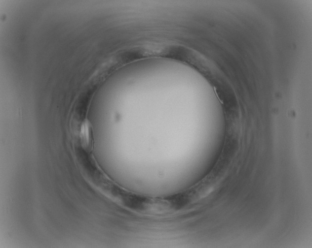 X0000070430215200606231926