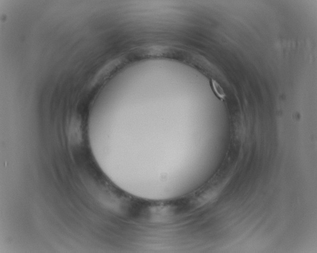 X0000070430216200606231926