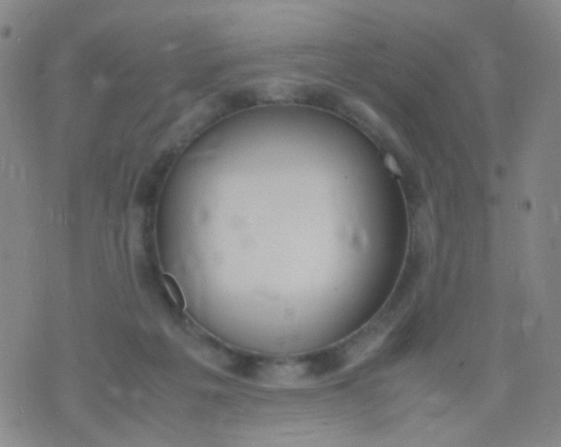 X0000070430217200606231926