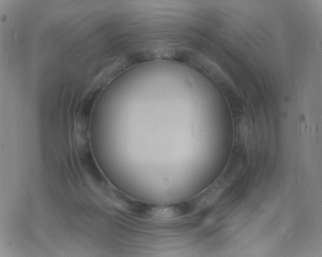 X0000070430218200606231926