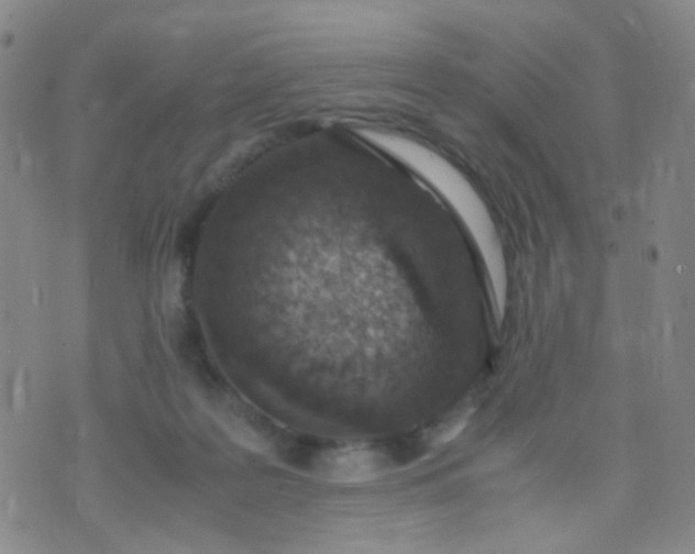 X0000070430219200606231926