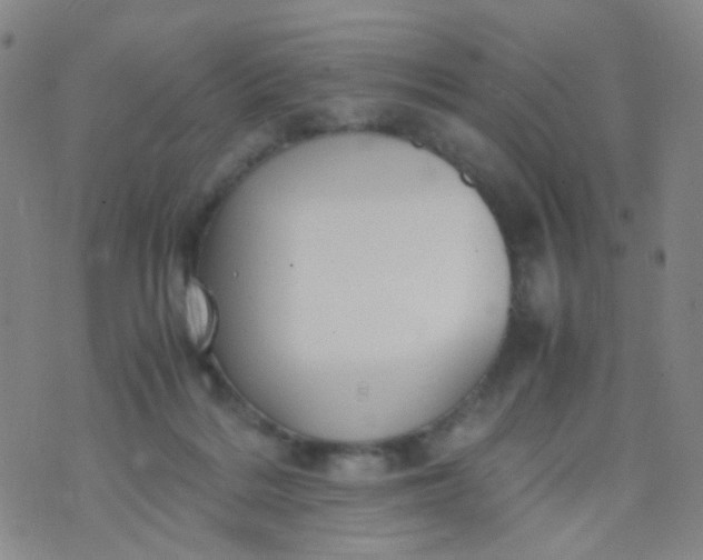 X0000070430220200606231926