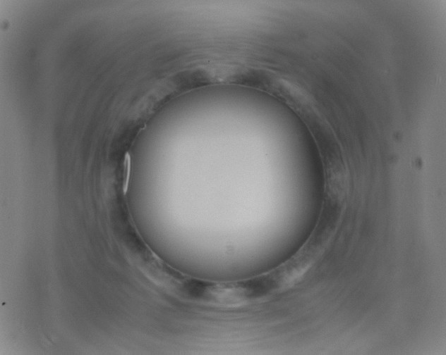 X0000070430221200606231926