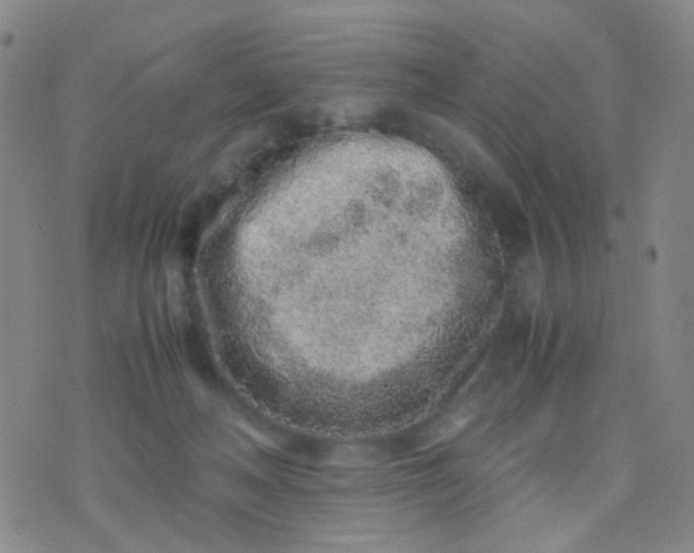 X0000070430222200606231926