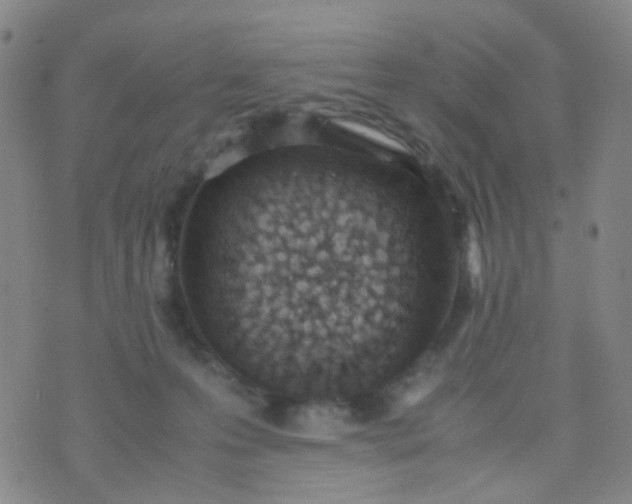 X0000070430223200606231926