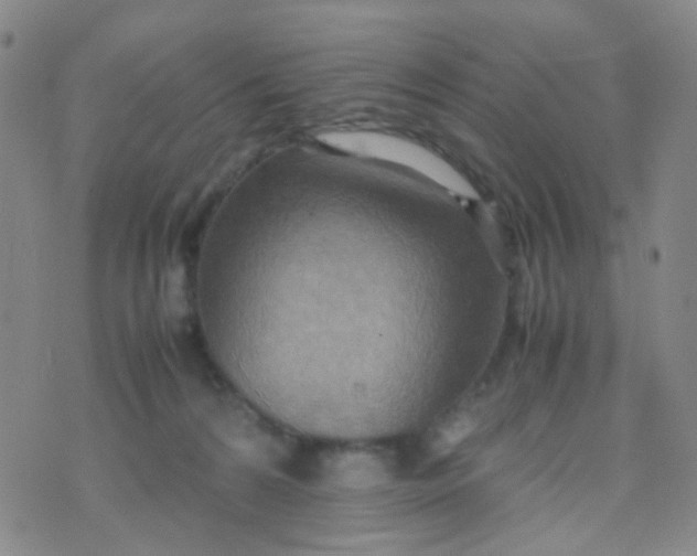 X0000070430224200606231926