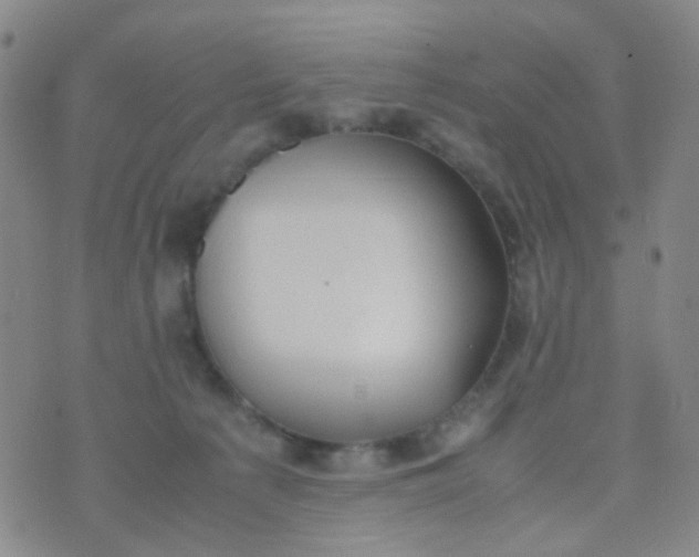 X0000070430225200606231926