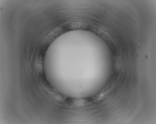 X0000070430226200606231926