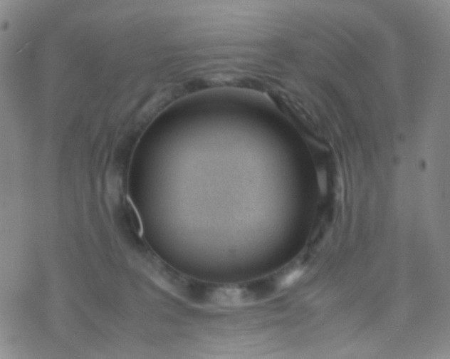 X0000070430227200606231926