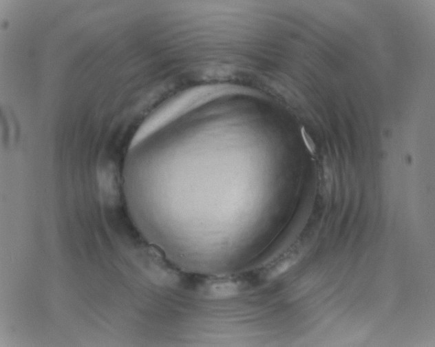 X0000070430228200606231926