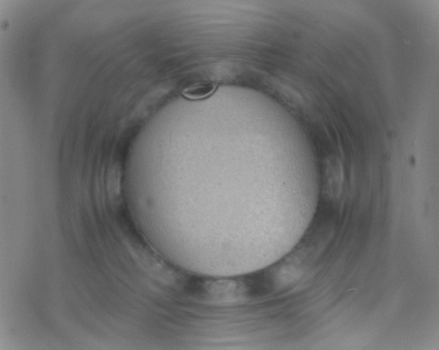 X0000070430230200606231926