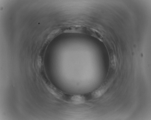 X0000070430231200606231926