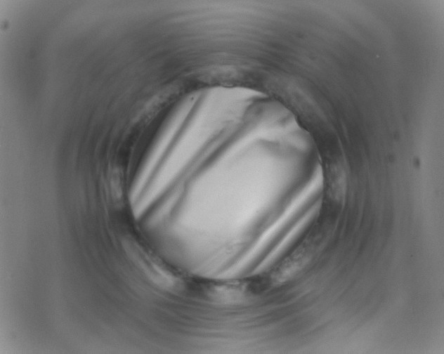 X0000070430232200606231926