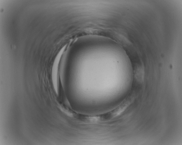 X0000070430233200606231926