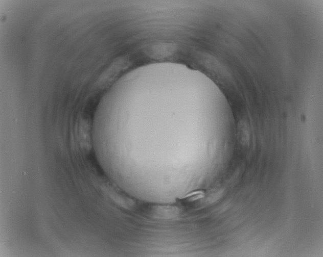 X0000070430234200606231926