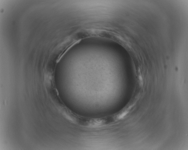 X0000070430235200606231926