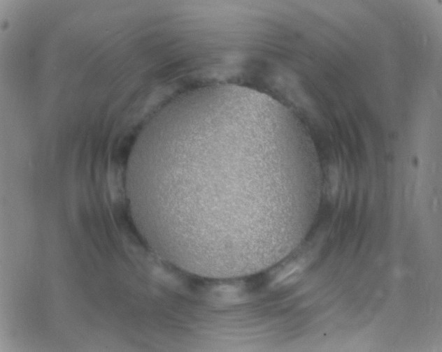 X0000070430236200606231926