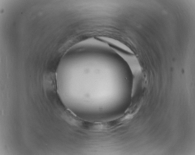 X0000070430237200606231926