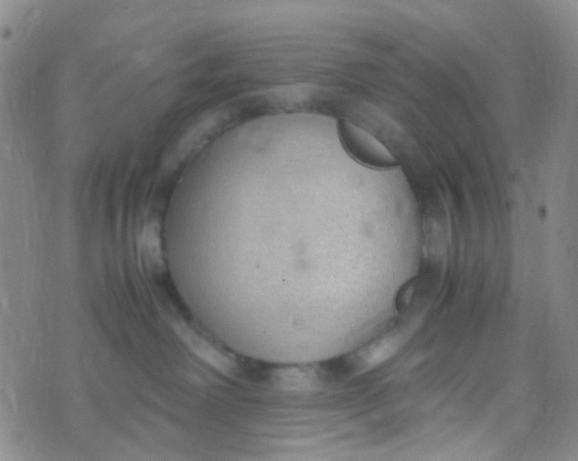 X0000070430238200606231926