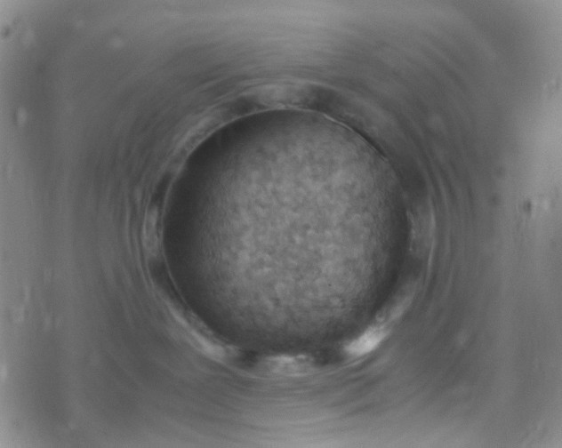 X0000070430239200606231926