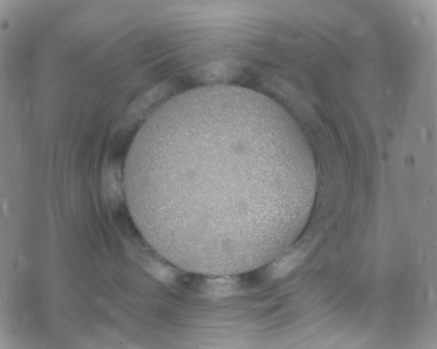 X0000070430240200606231926