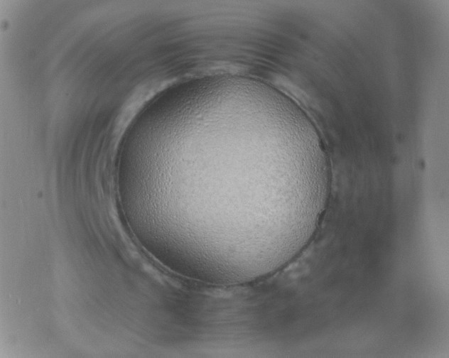 X0000070430241200606231925