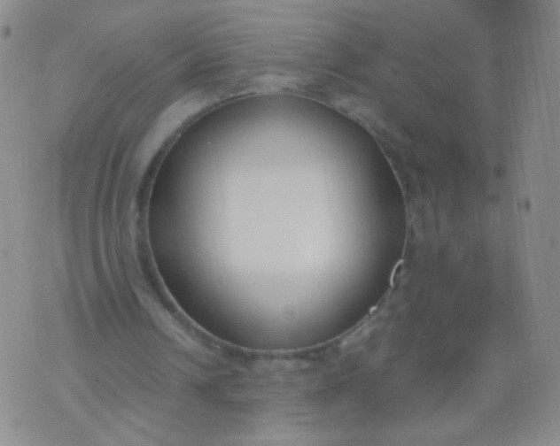 X0000070430242200606231925