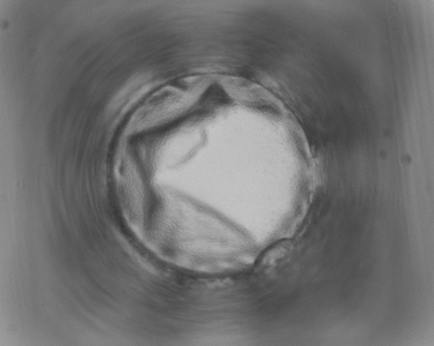 X0000070430243200606231925