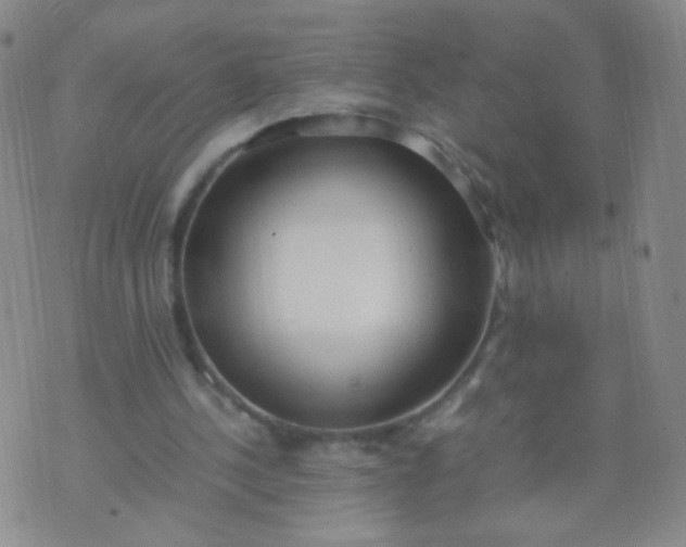 X0000070430244200606231925