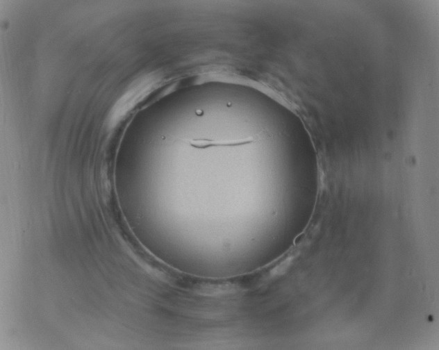 X0000070430245200606231925