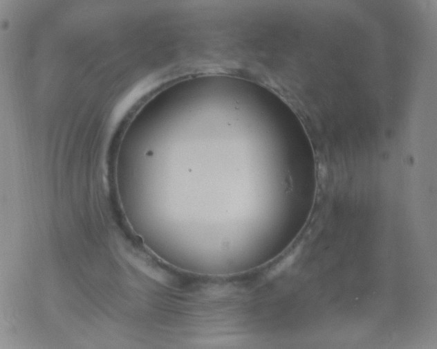 X0000070430246200606231925