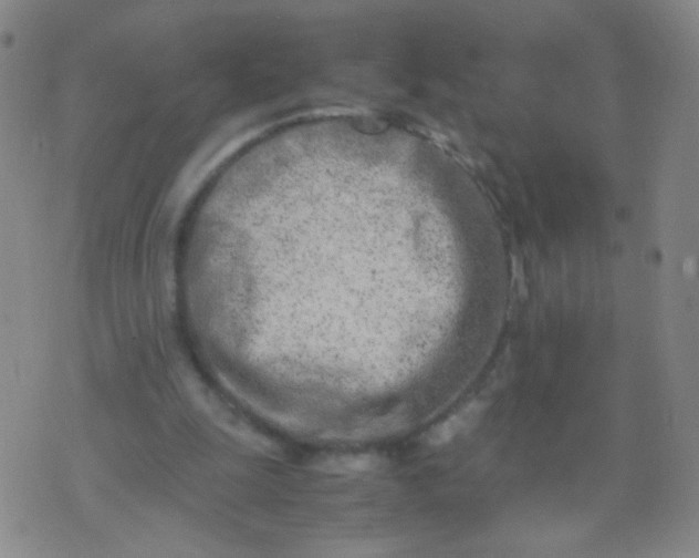 X0000070430247200606231925